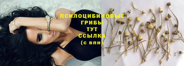 прущая мука Абинск