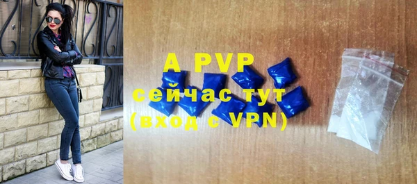прущие грибы Нефтегорск