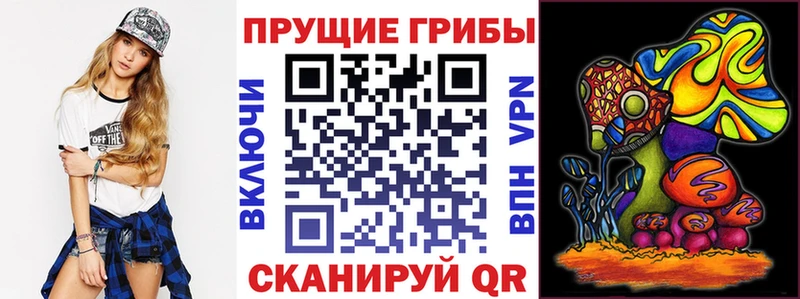 blacksprut зеркало Приволжск Галлюциногенные грибы Magic Shrooms